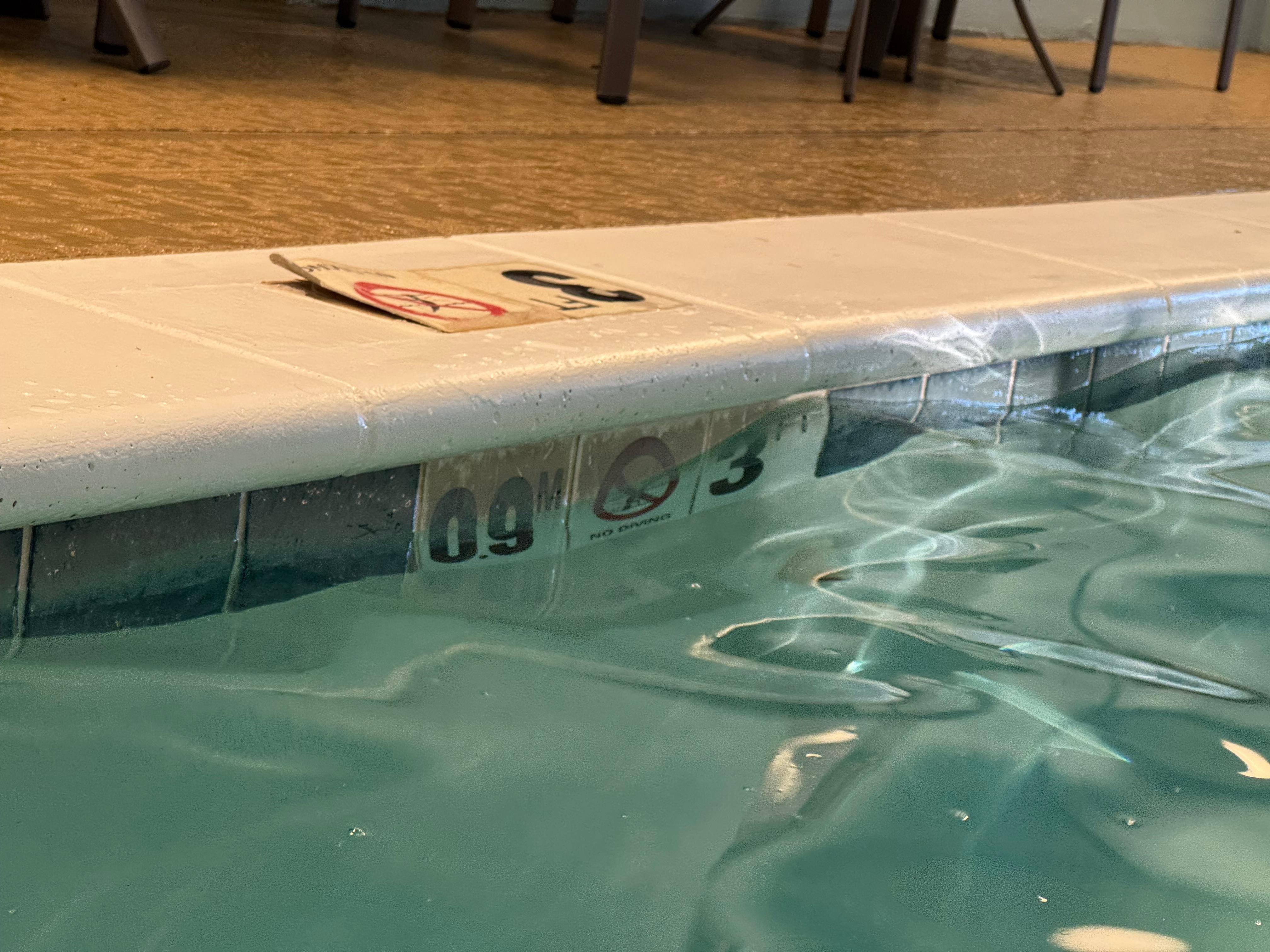 Clean your pool please!