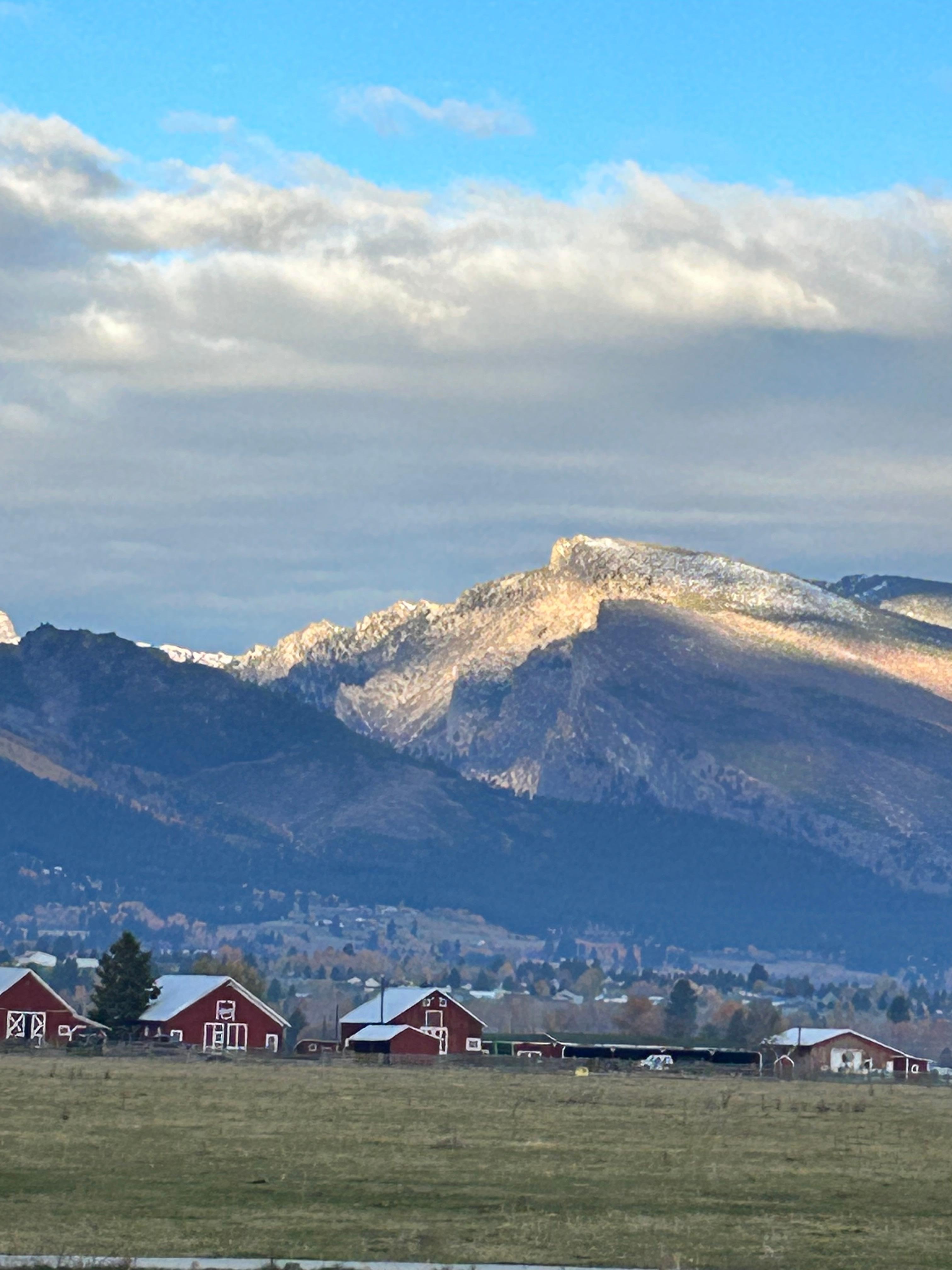 View from dining area 