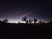 Evening view from the deck.