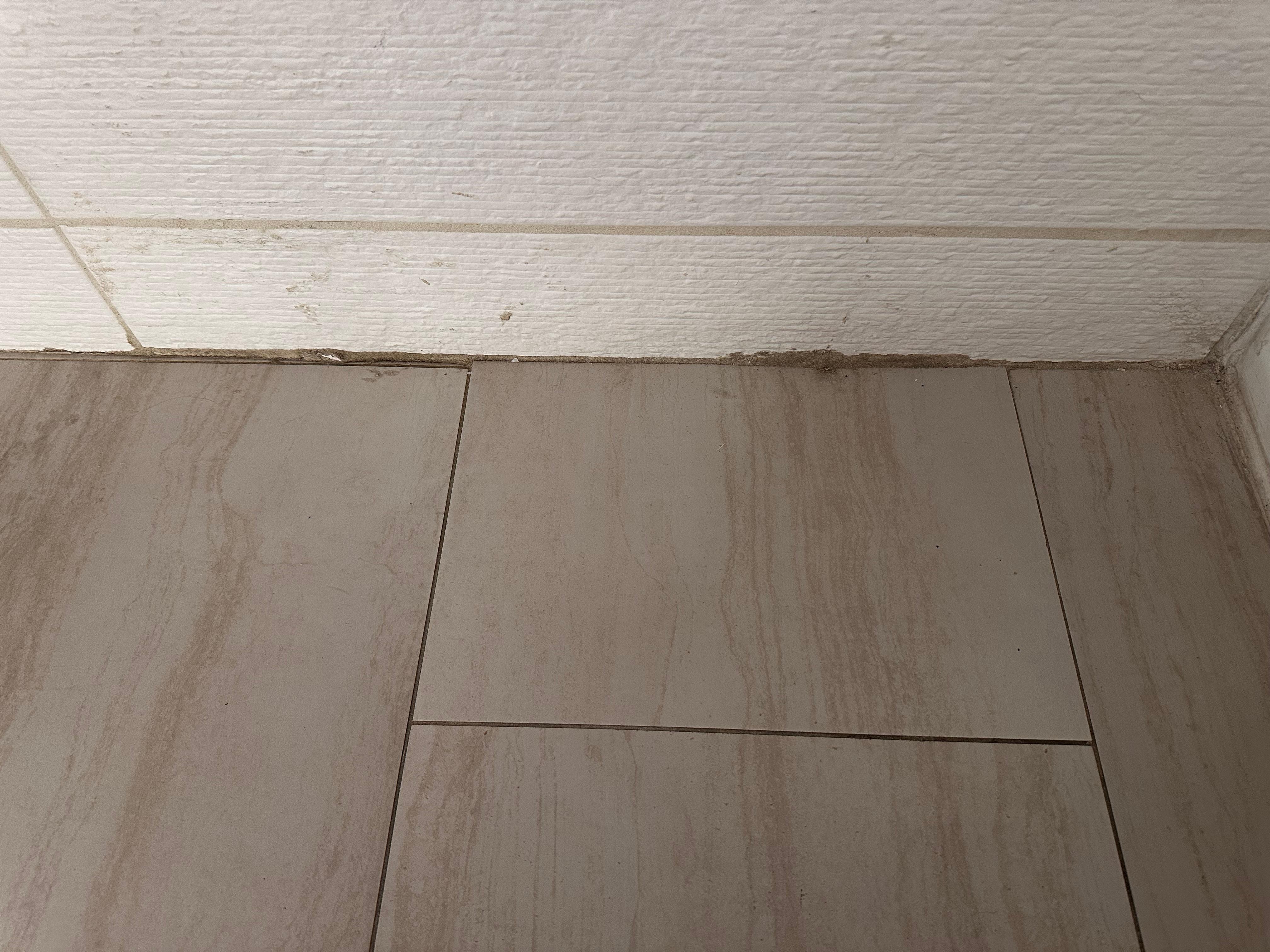 Mold in baseboard bathrooms