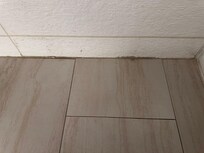 Mold in baseboard bathrooms