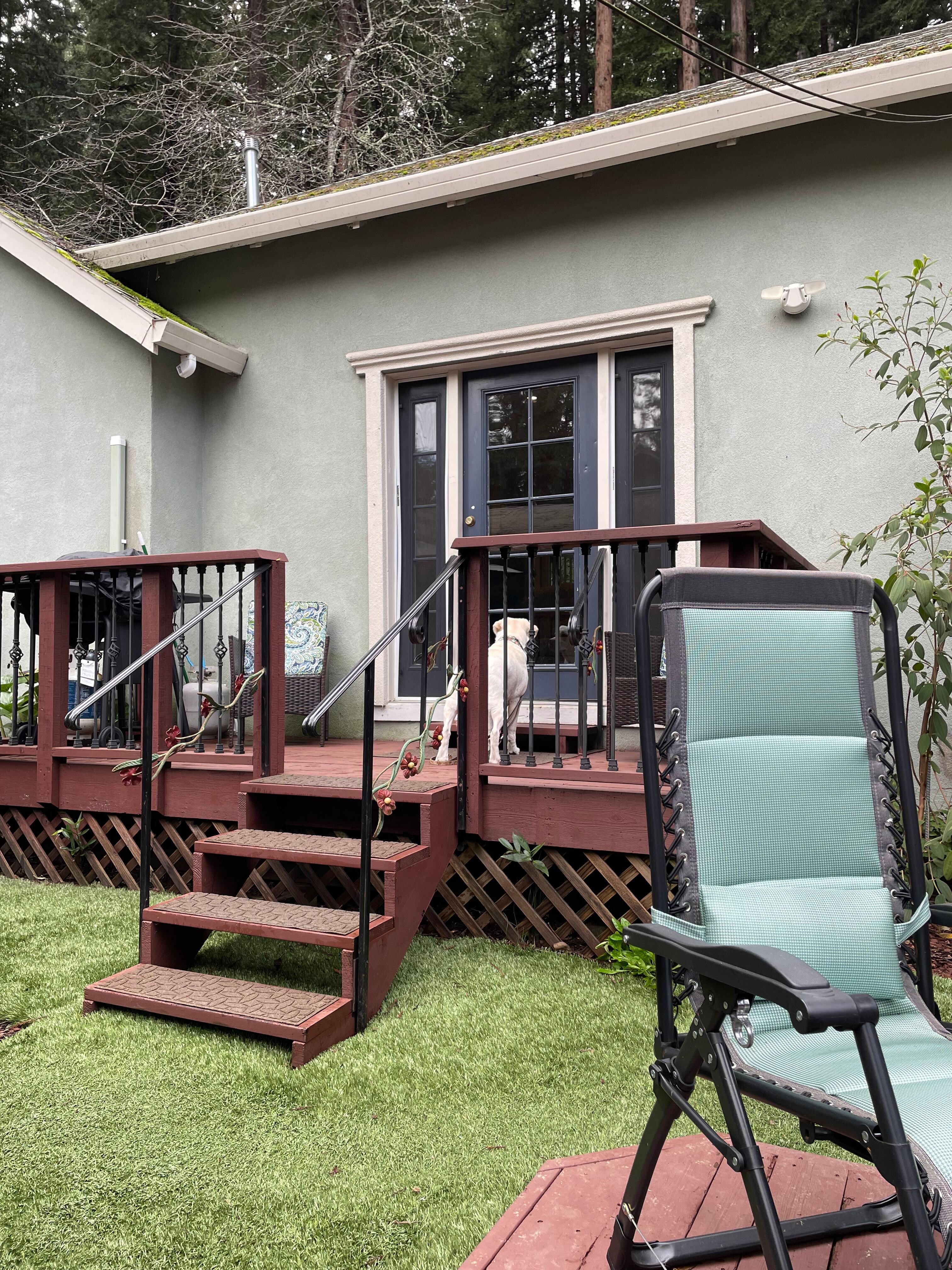 Another view of her in the backyard, but ready to come in.