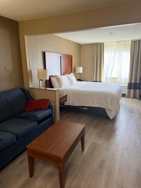 King Suite with Sofa