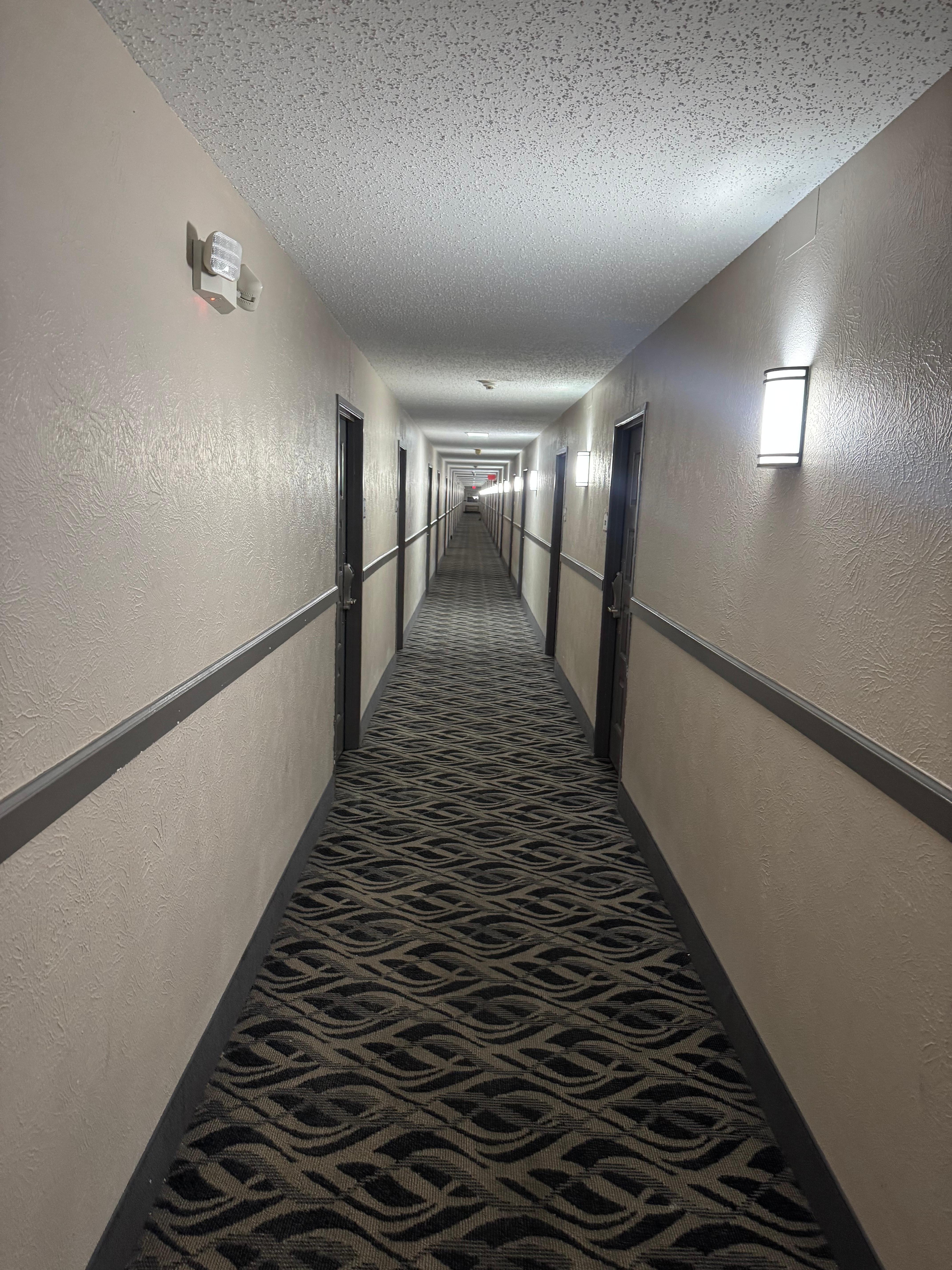 Hall way has not seen a vacuum since the carpet was installed in 1980. 