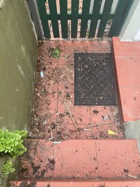 Front Door entry with Dog Poo bag and detritus