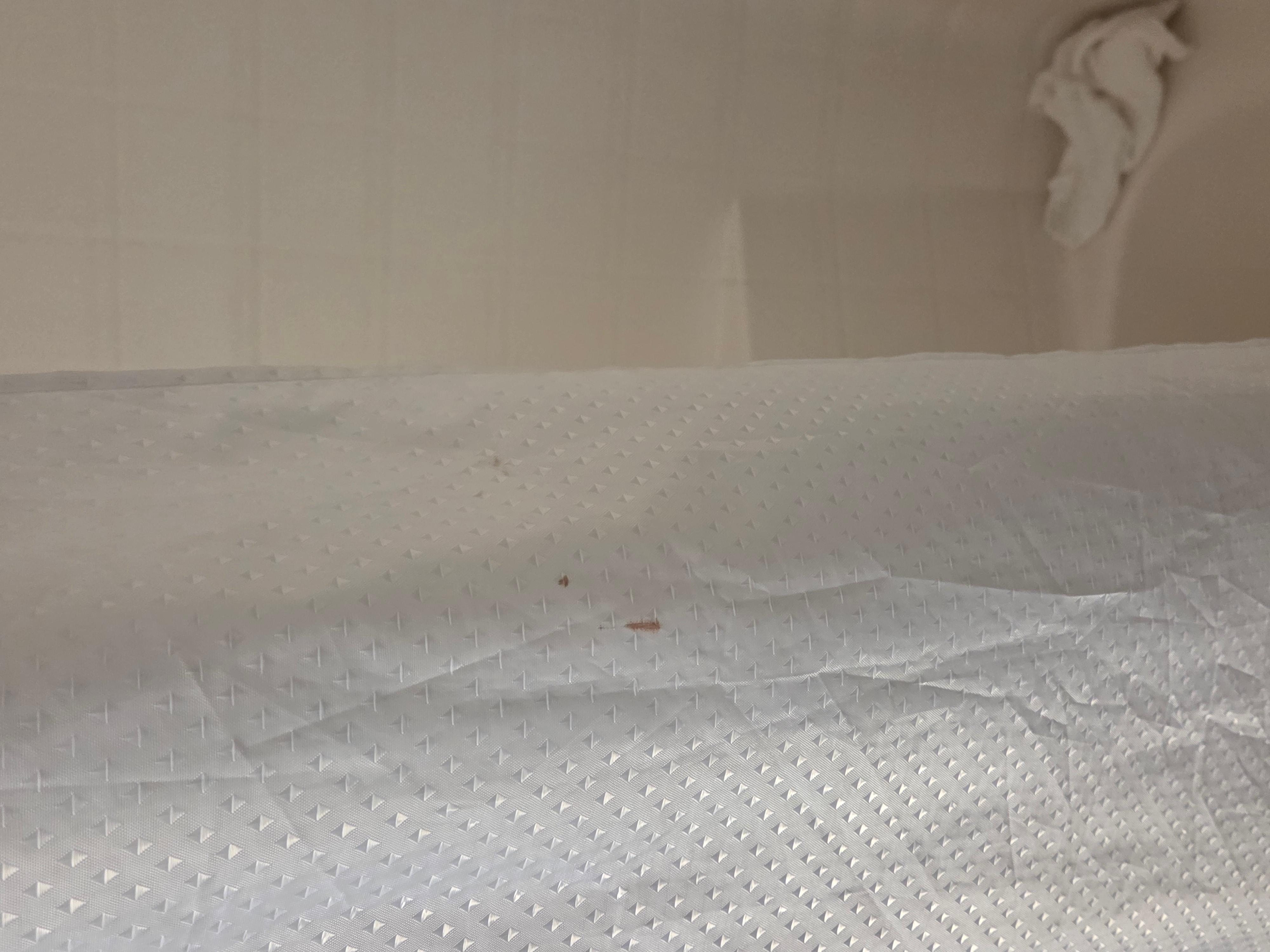 Body fluid on shower curtain 