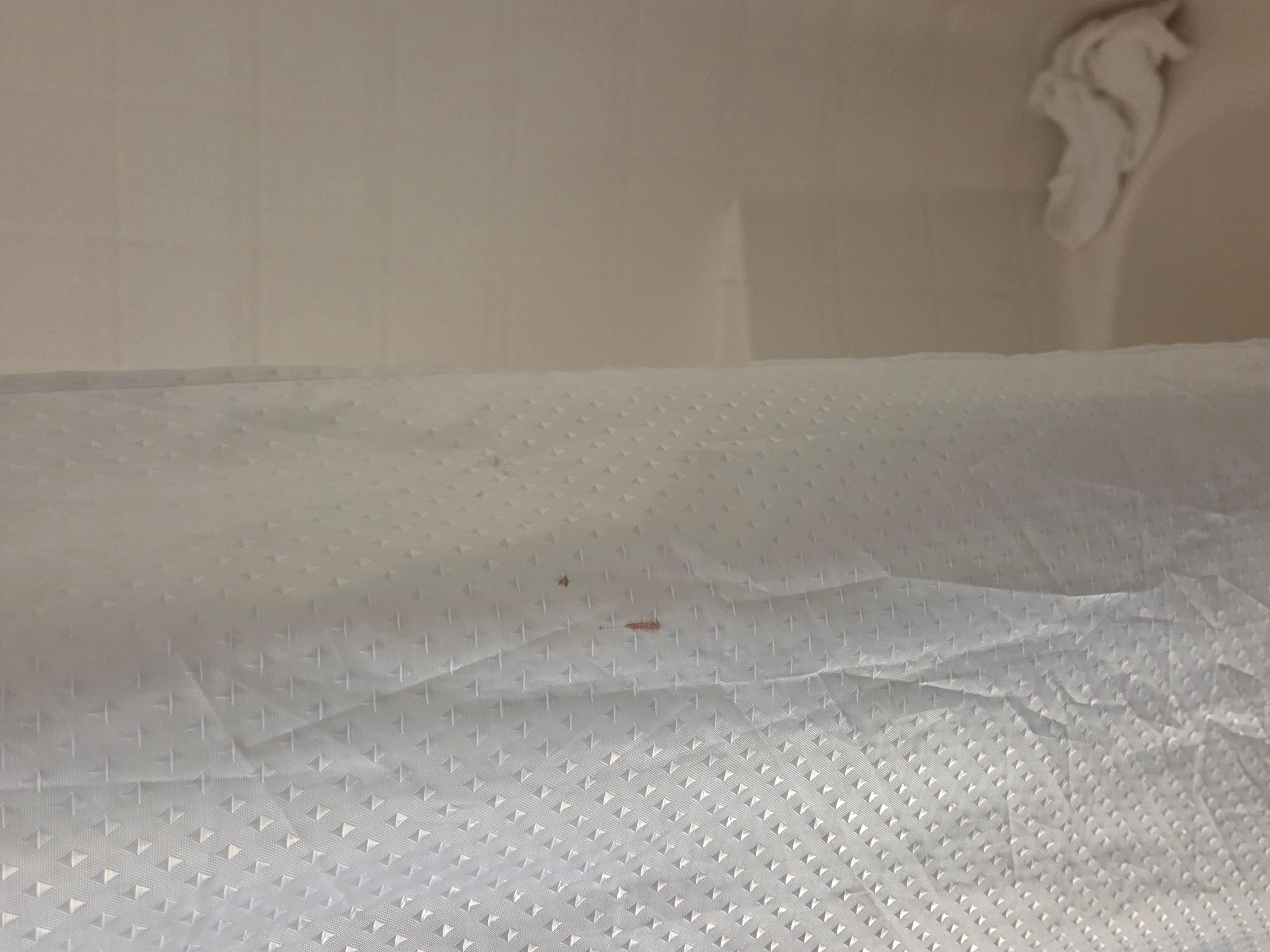Body fluid on shower curtain 