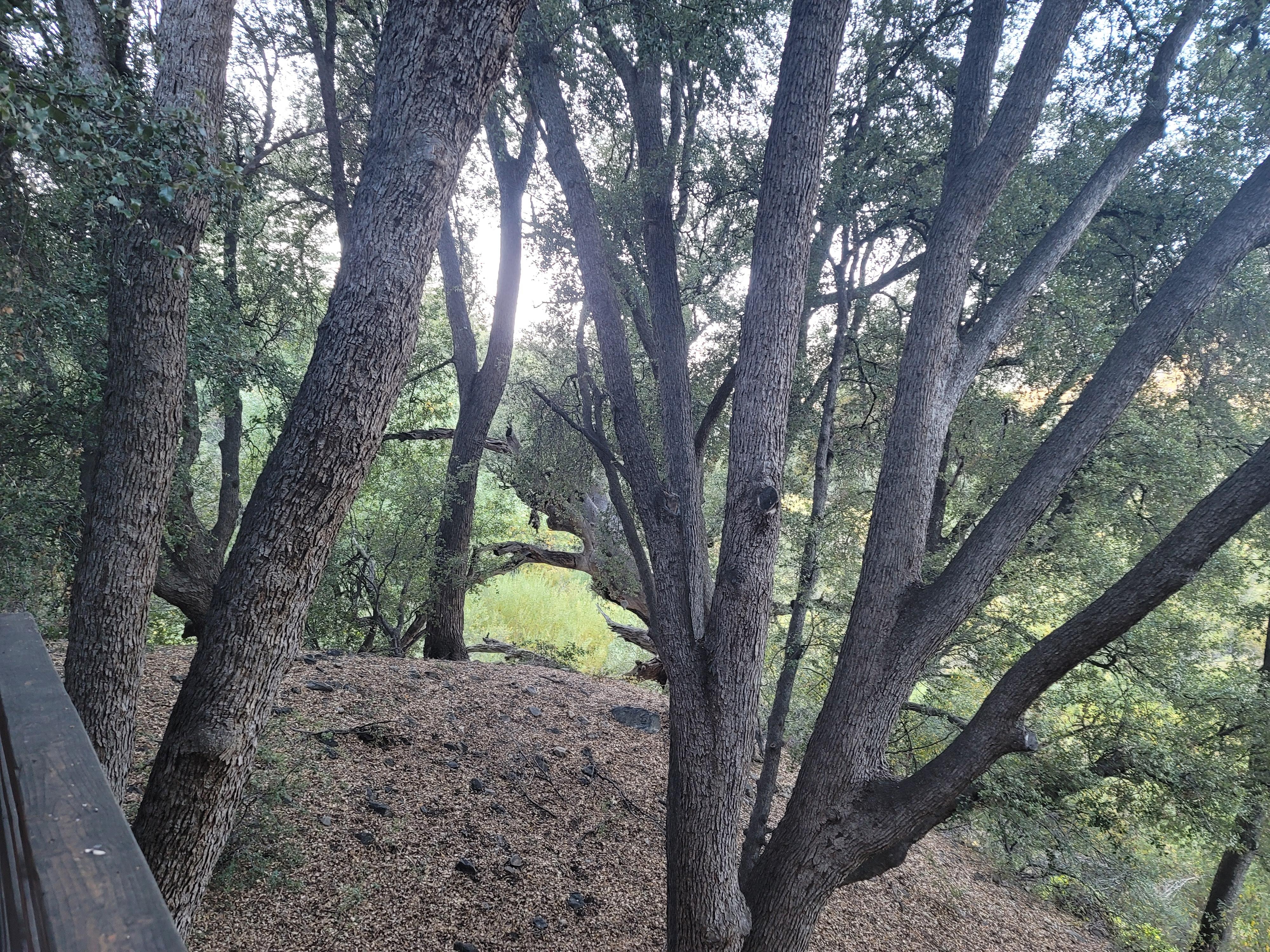 View from the left of the deck