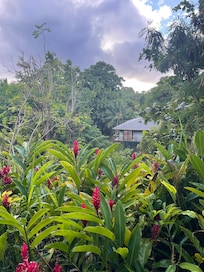 View from the deck.