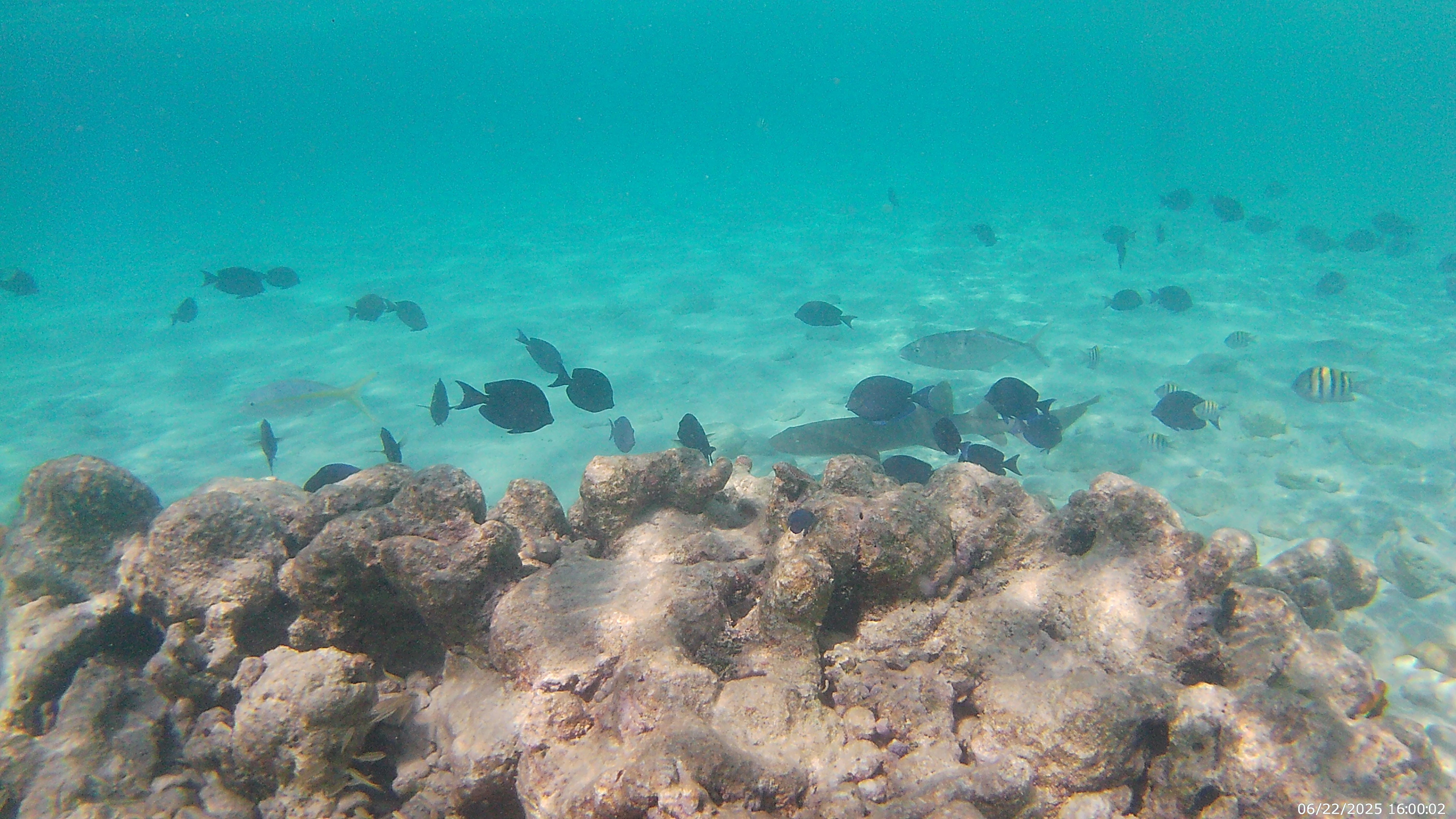 Snorkeling behind this hotel