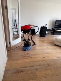 Cleaning guy at property