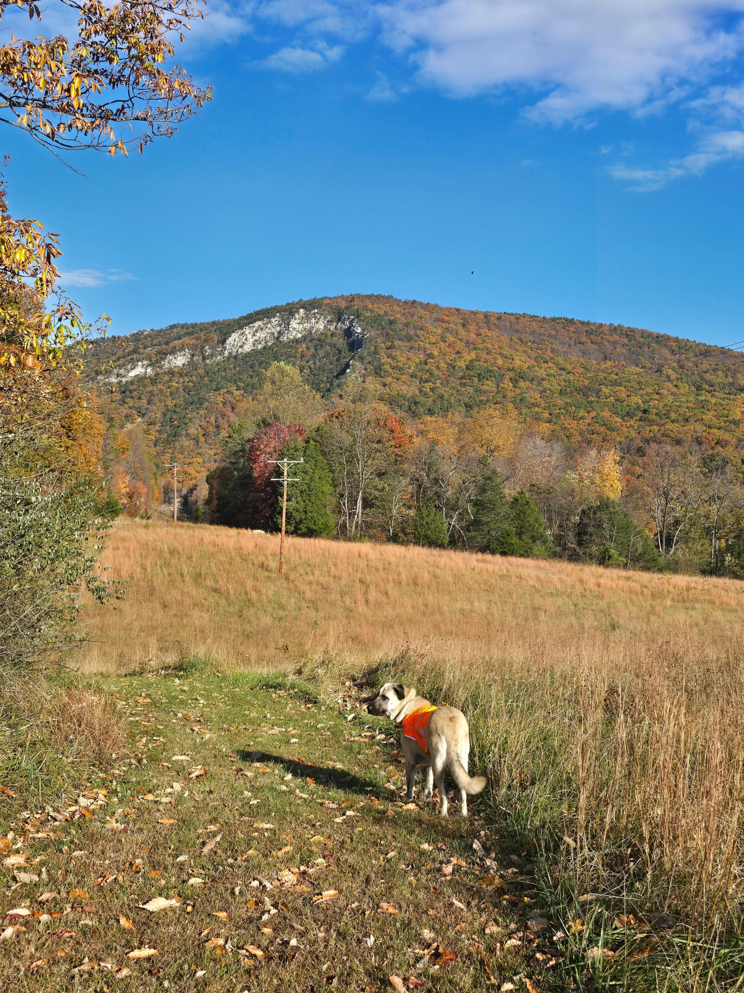 Trail leading to GWJNF