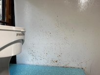How can you eat in the presence of this gross and disgusting sight? Even making coffee (forget about the 1980’s Mr. Coffee maker sadly wasting away nearby the scene of the crime) was a challenge.