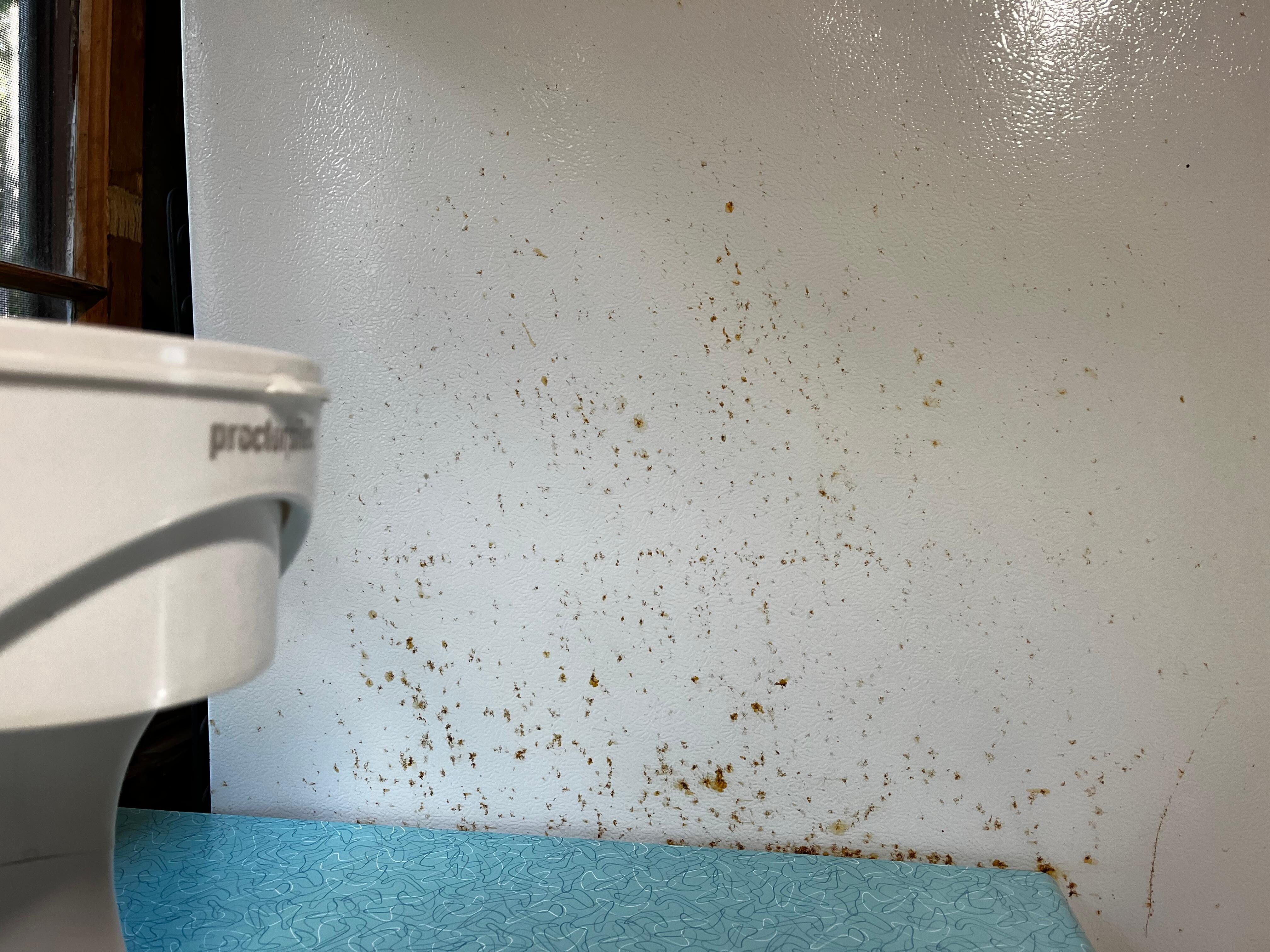 How can you eat in the presence of this gross and disgusting sight? Even making coffee (forget about the 1980’s Mr. Coffee maker sadly wasting away nearby the scene of the crime) was a challenge. 