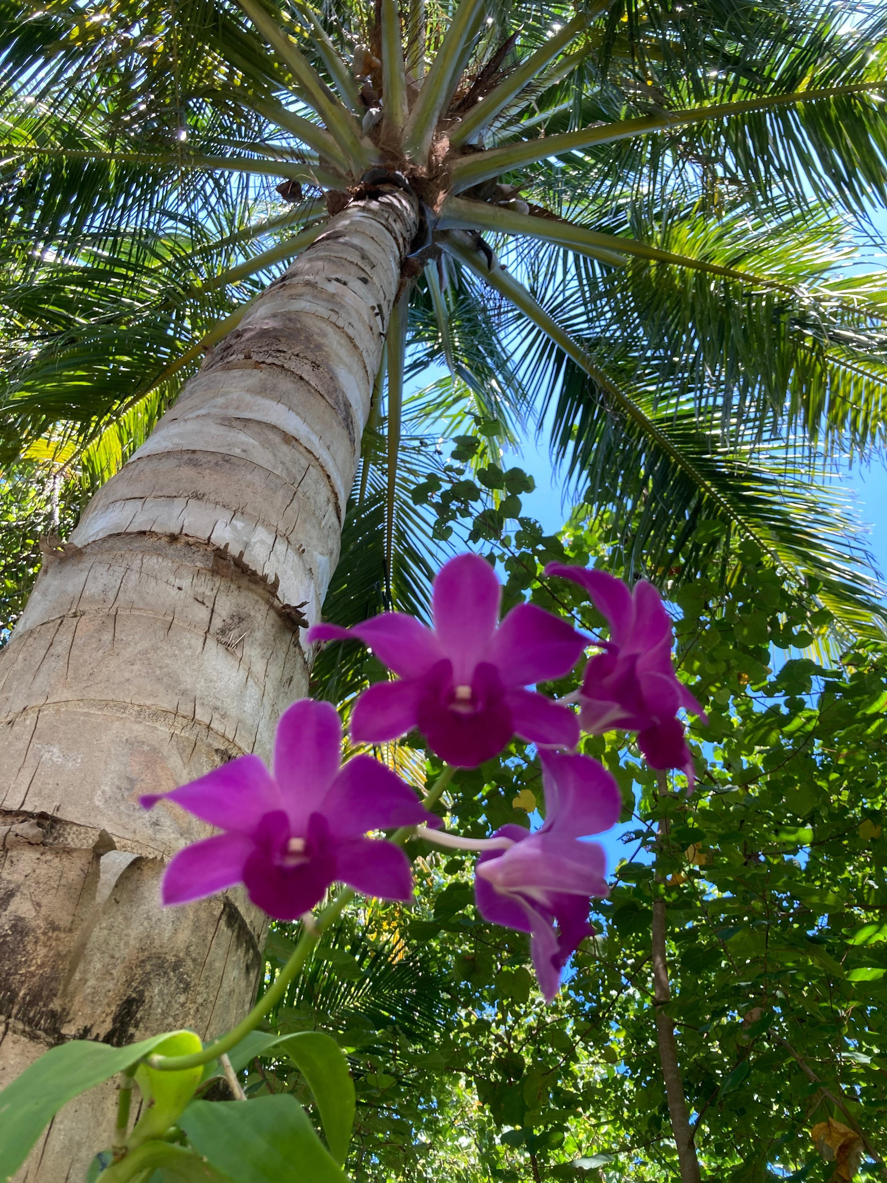 Everyone puts a shark or a turtle but there is so much more to see than that