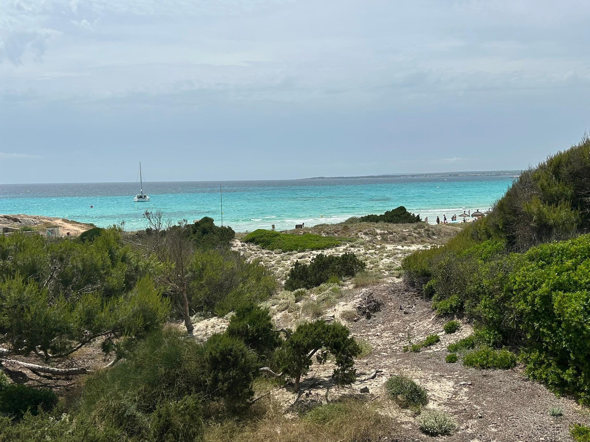 Blick von der Terrasse