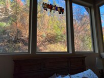 Mountain foliage from the Master Bedroom