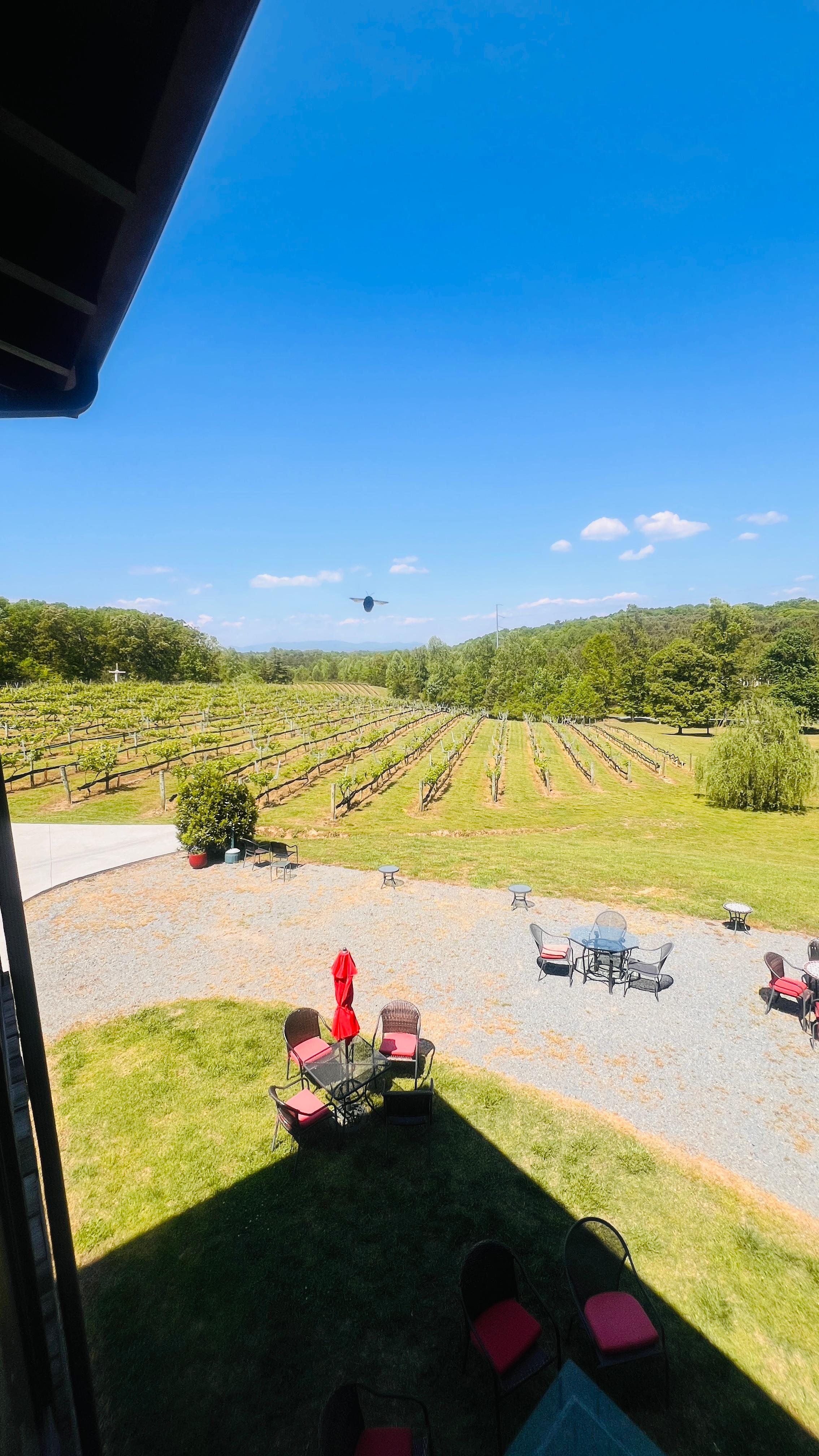 Beautiful winery 