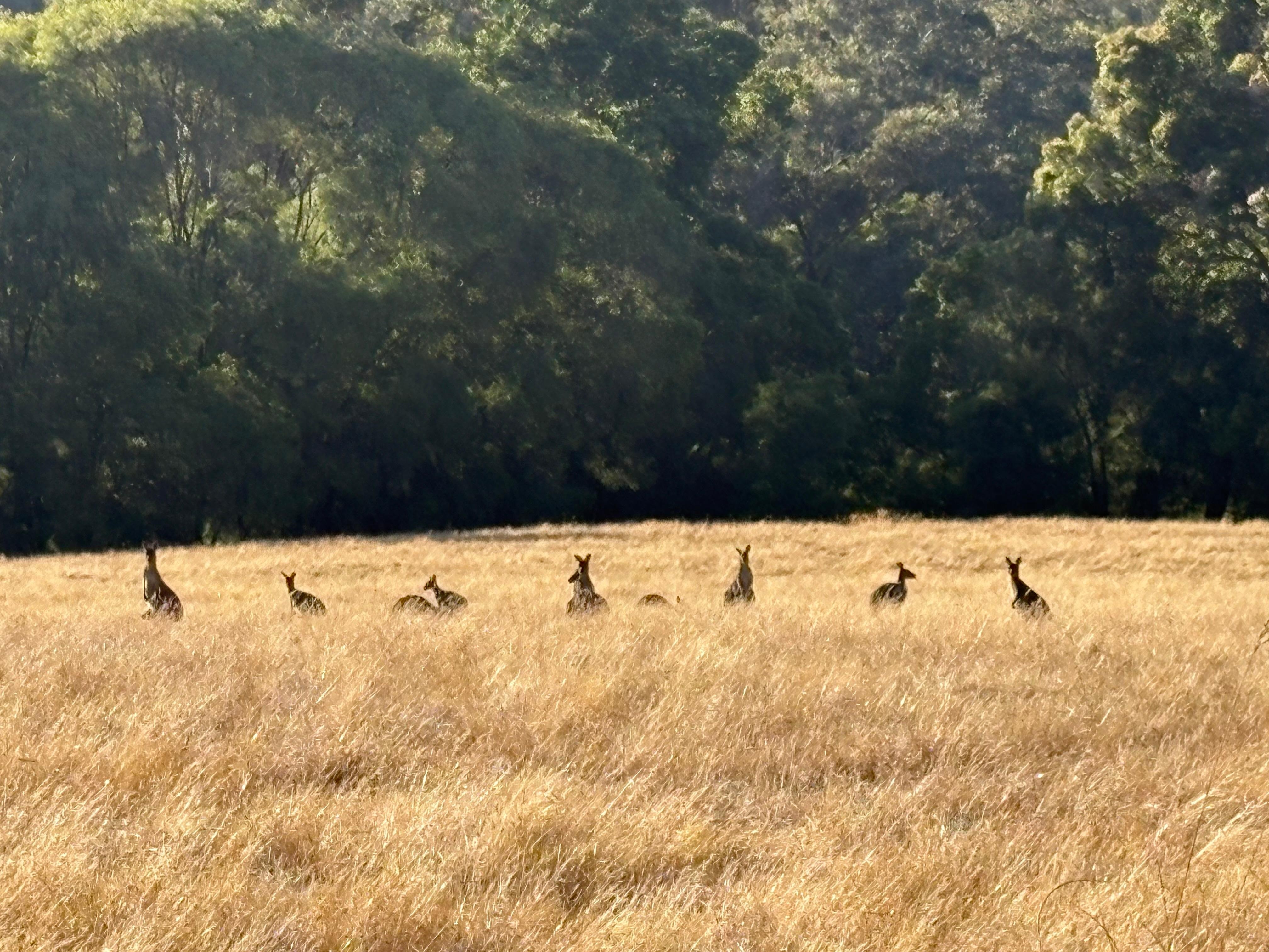 Our morning view from the verandah