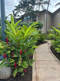 Walkway