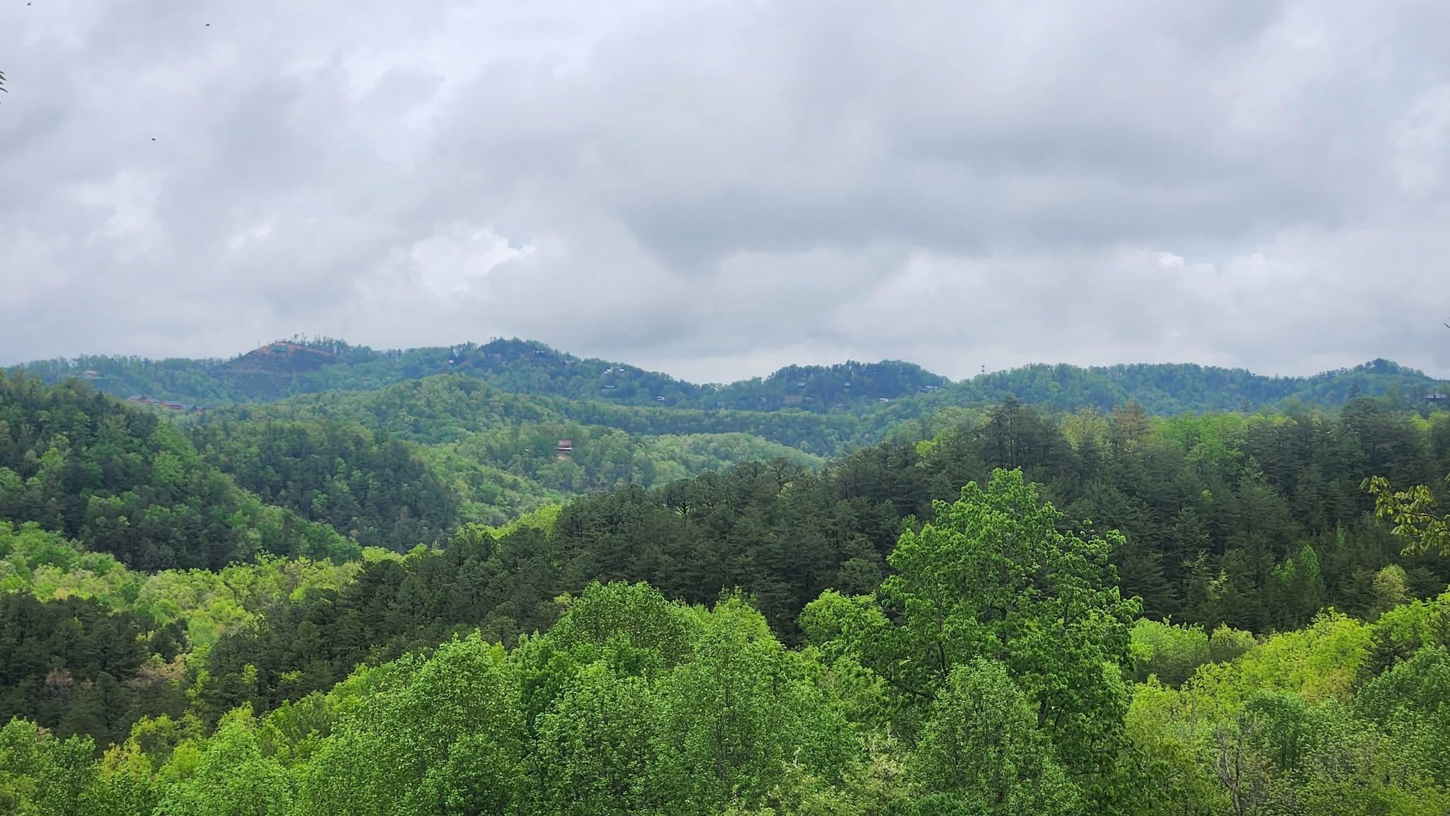Morning view 