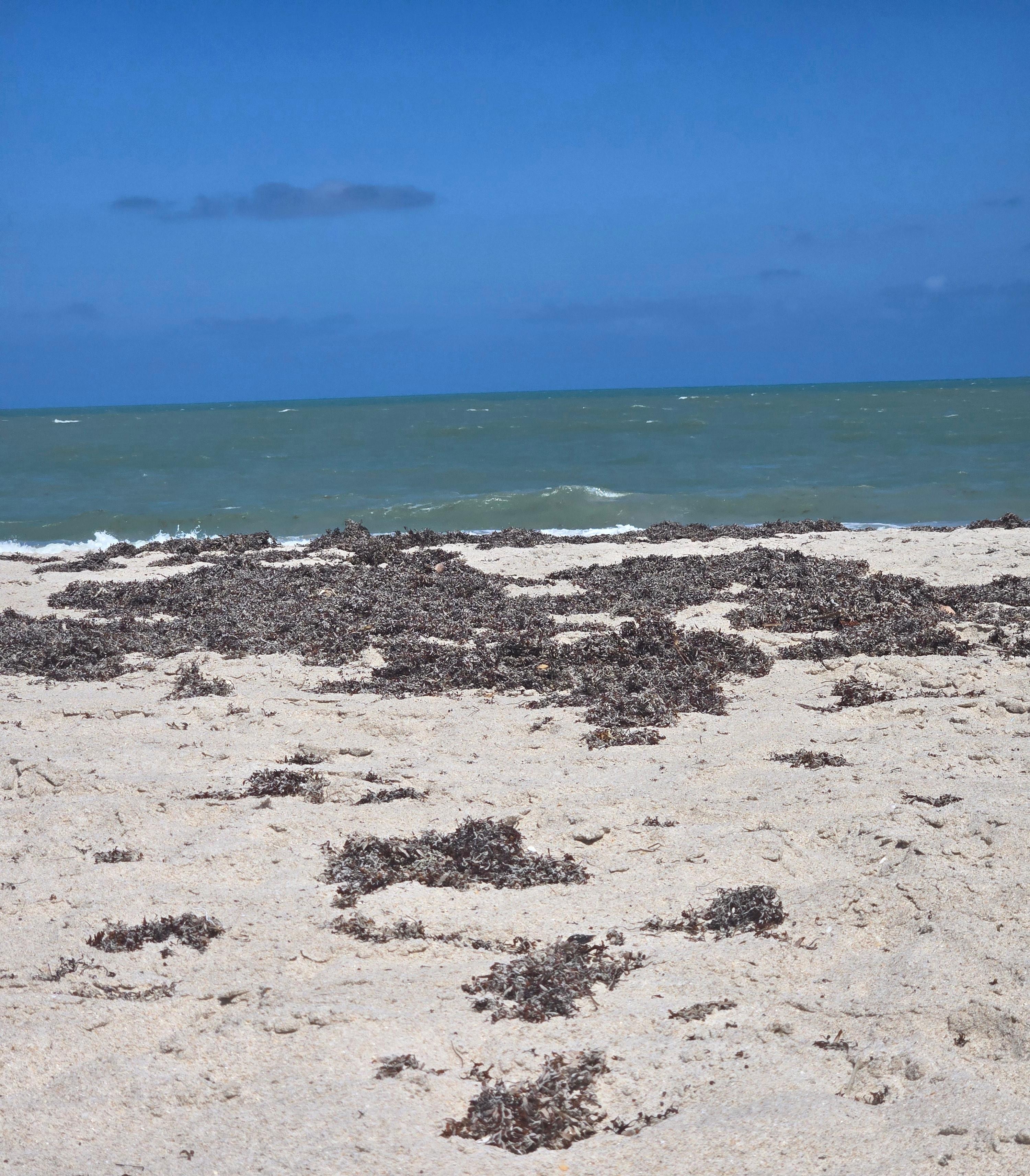 A Quiet side of Vero beach