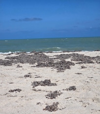 A Quiet side of Vero beach