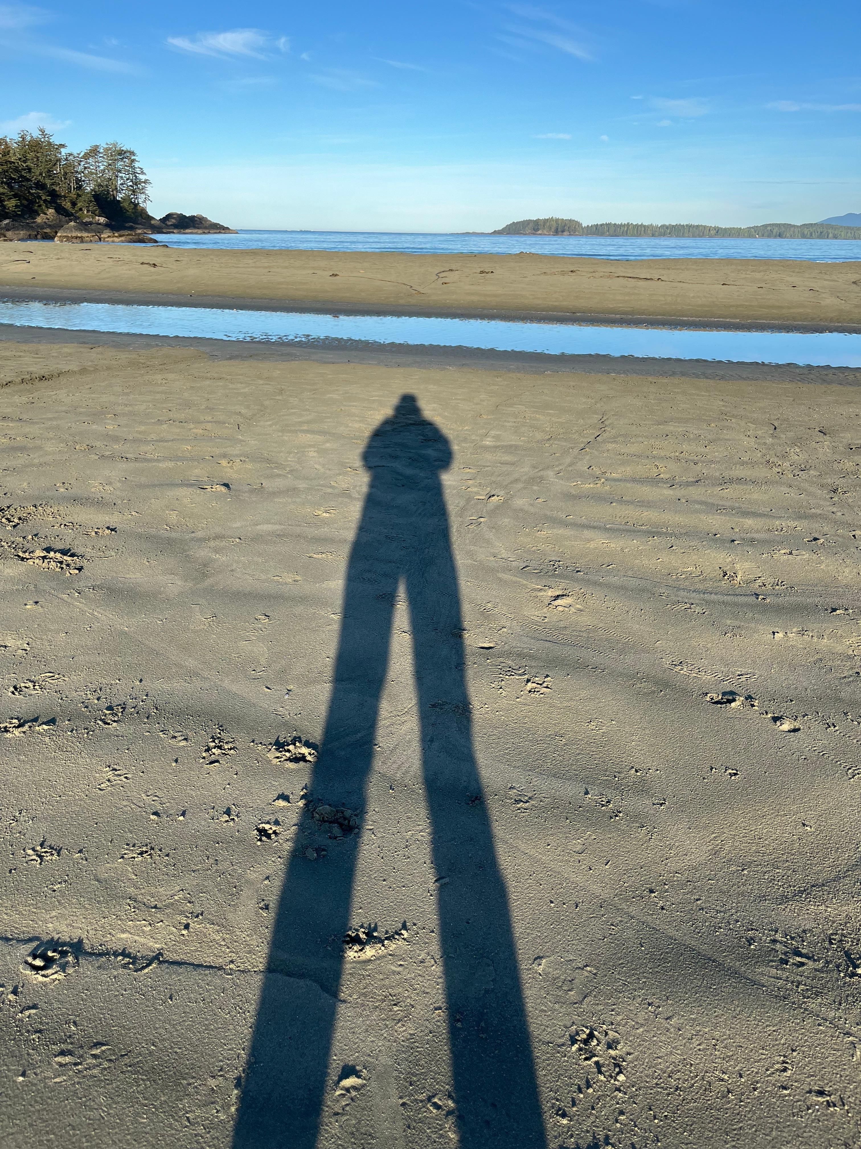 Low sun, long shadow. Chesterman