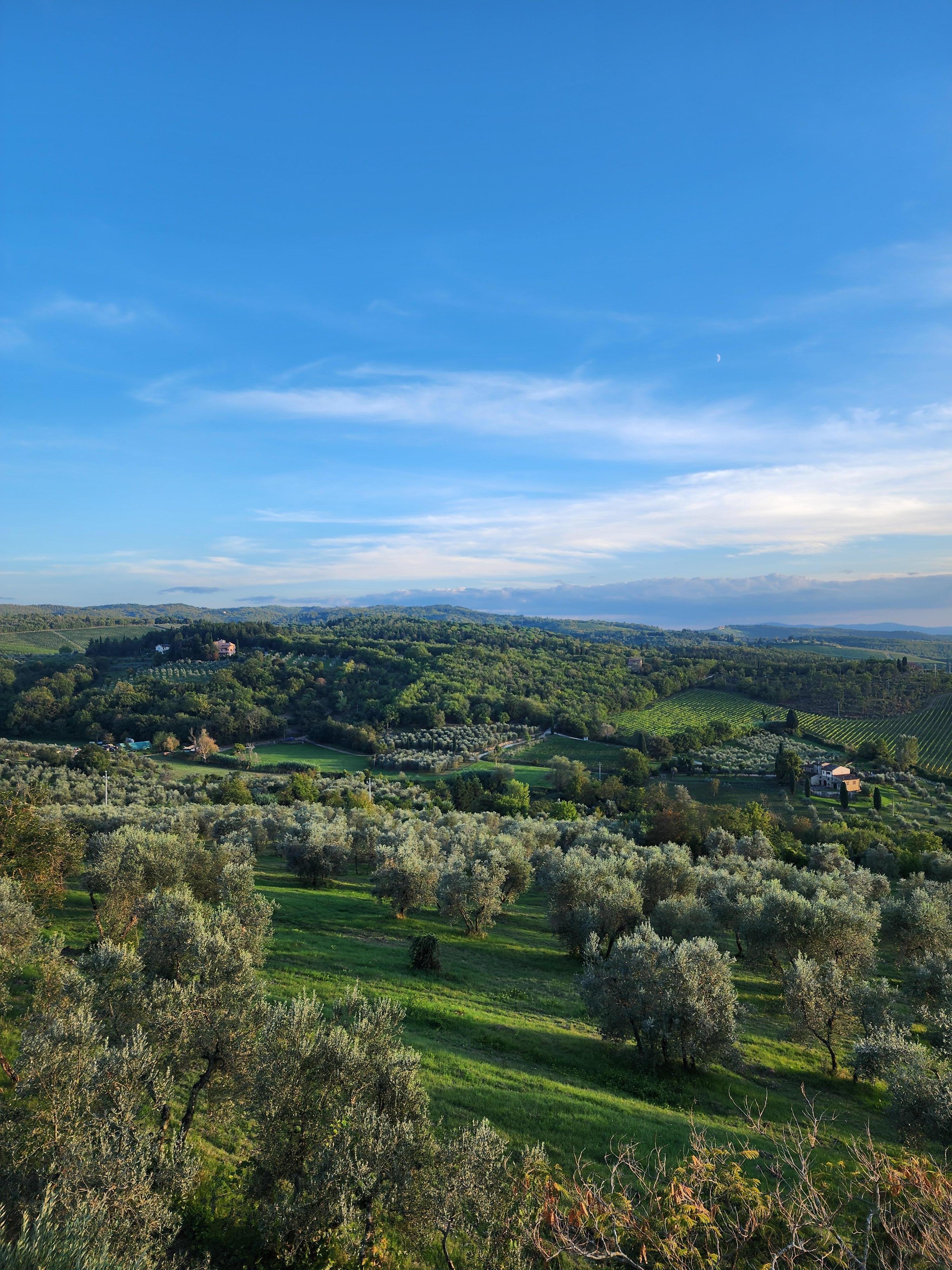 View from the balcony 