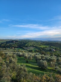 View from the balcony