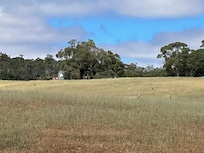 Rosie from a distance