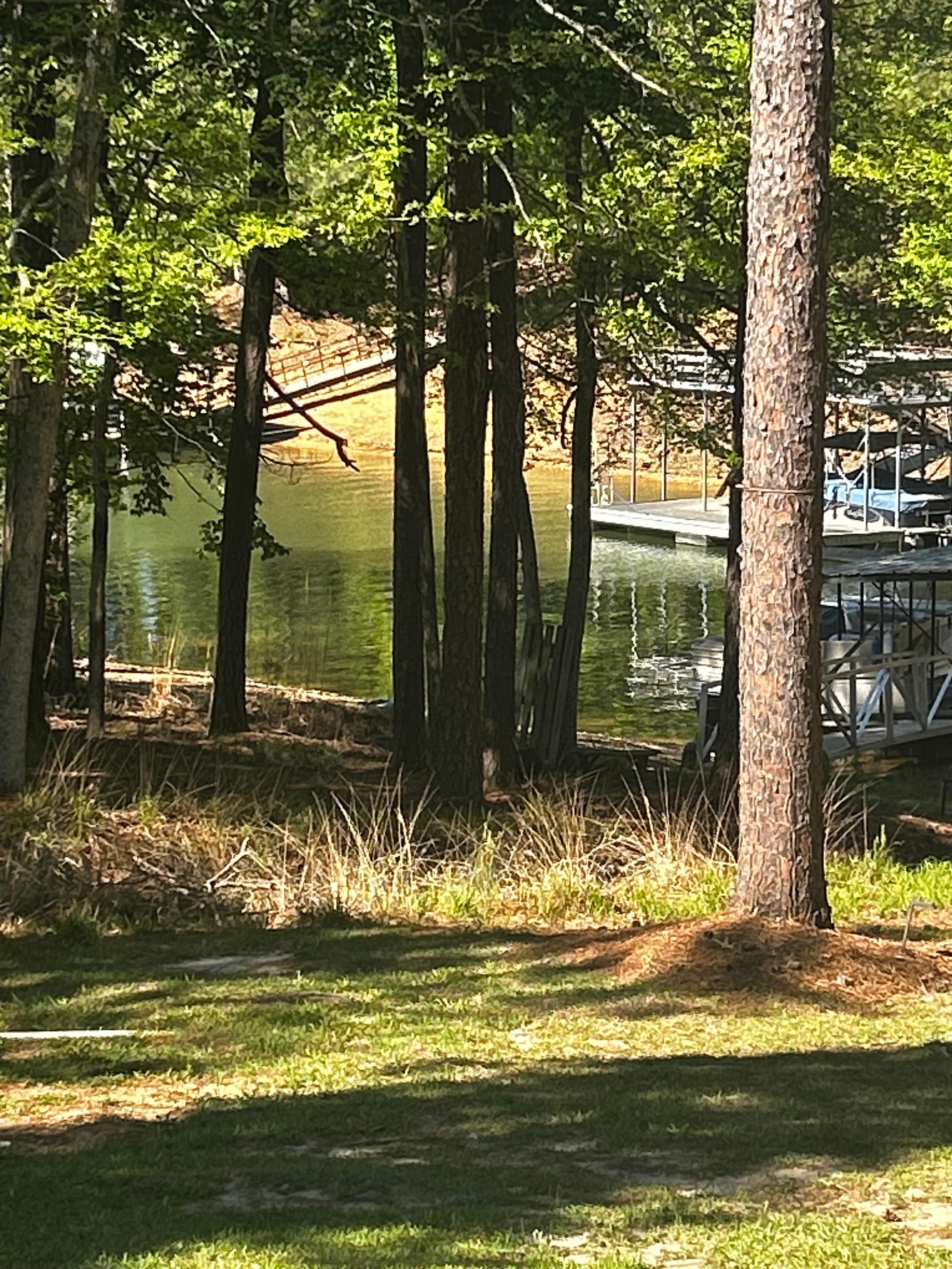 View from the screened in porch. 