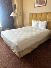 Head board was dirty and needs cleaning. Very hard bed. Rug looks worn out