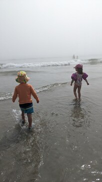Wells Beach