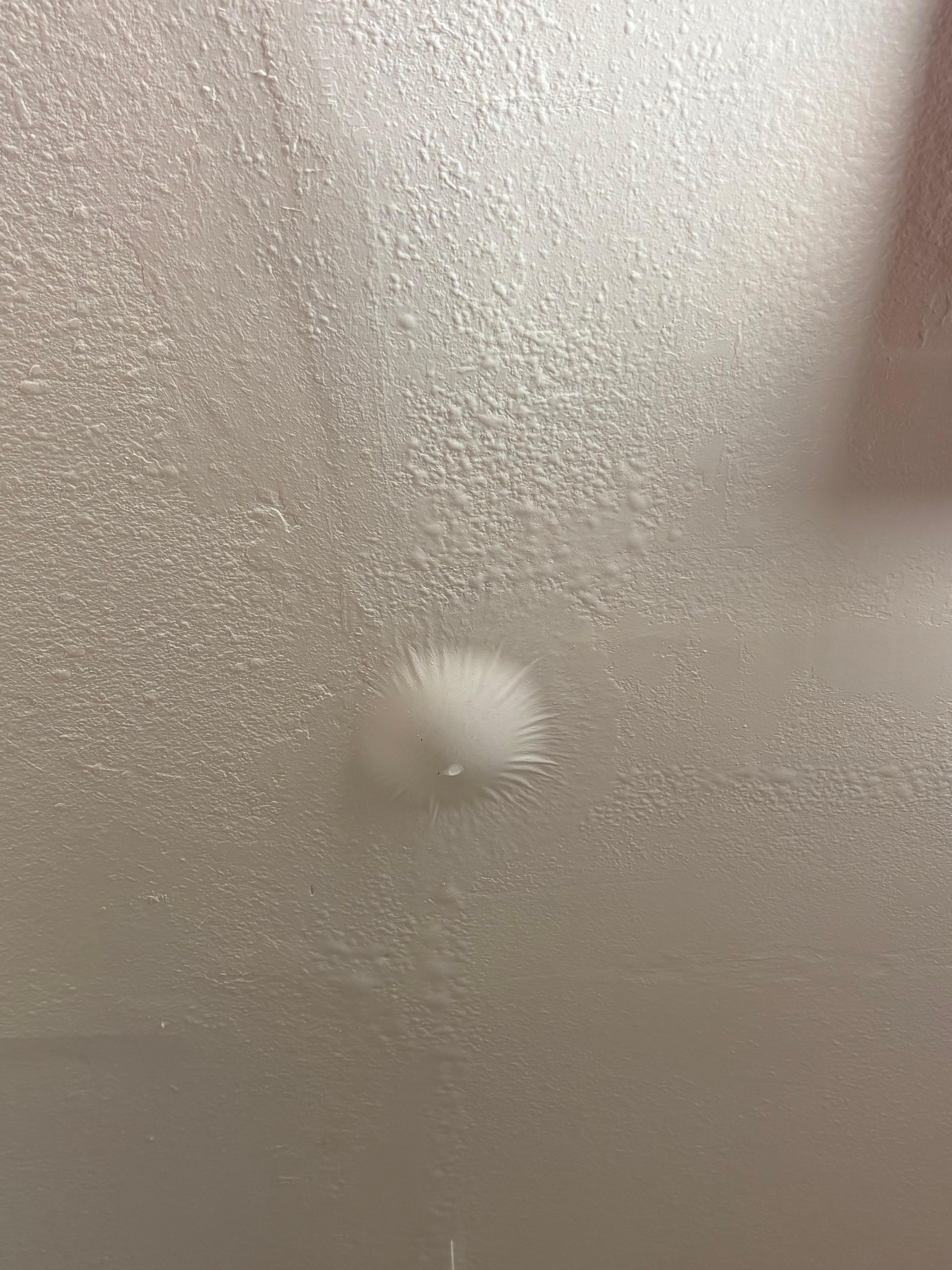 Large leak in ceiling. 