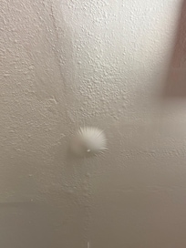 Large leak in ceiling.