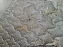 Pull out couch stained
