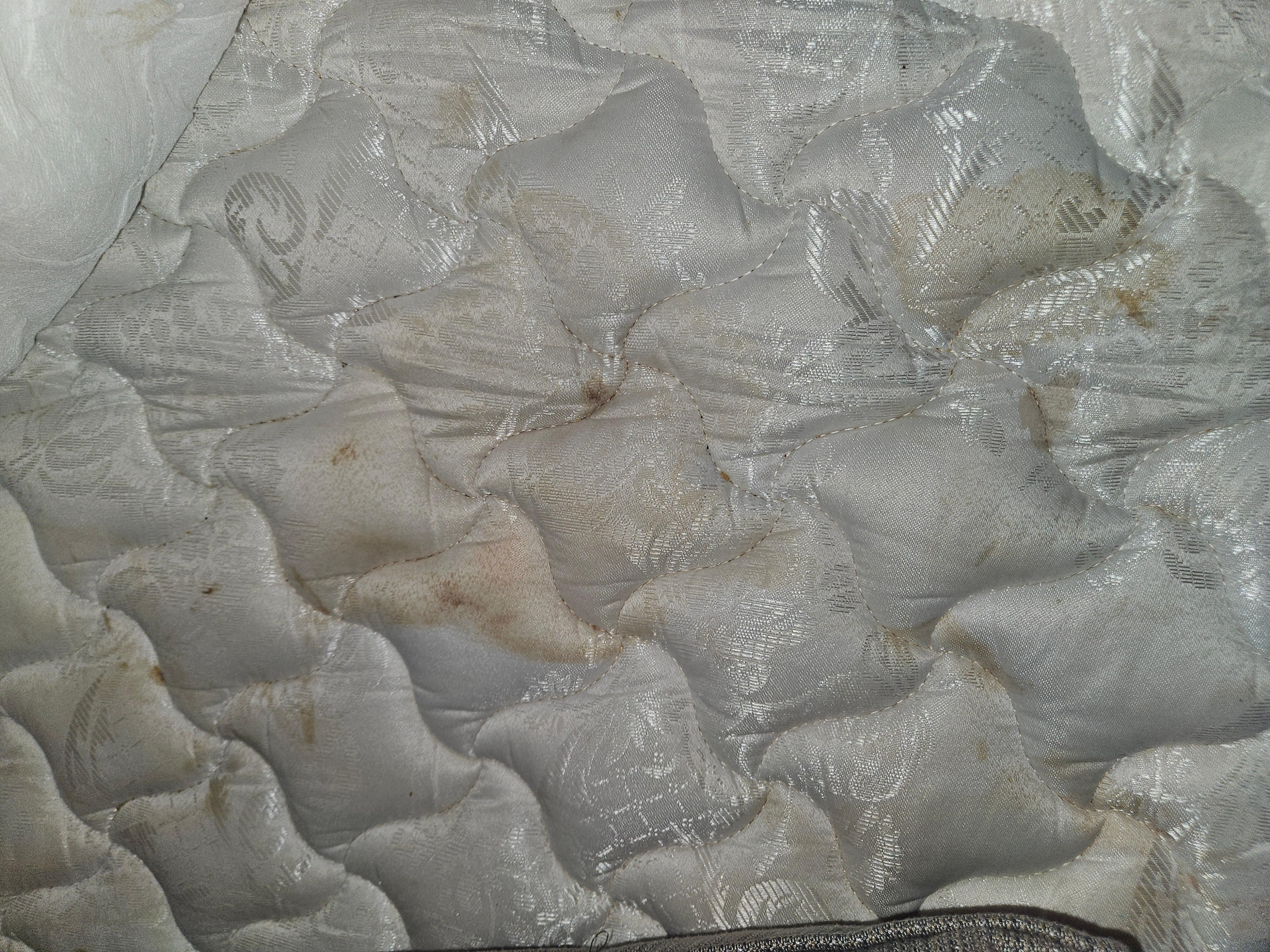 Pull out couch stained