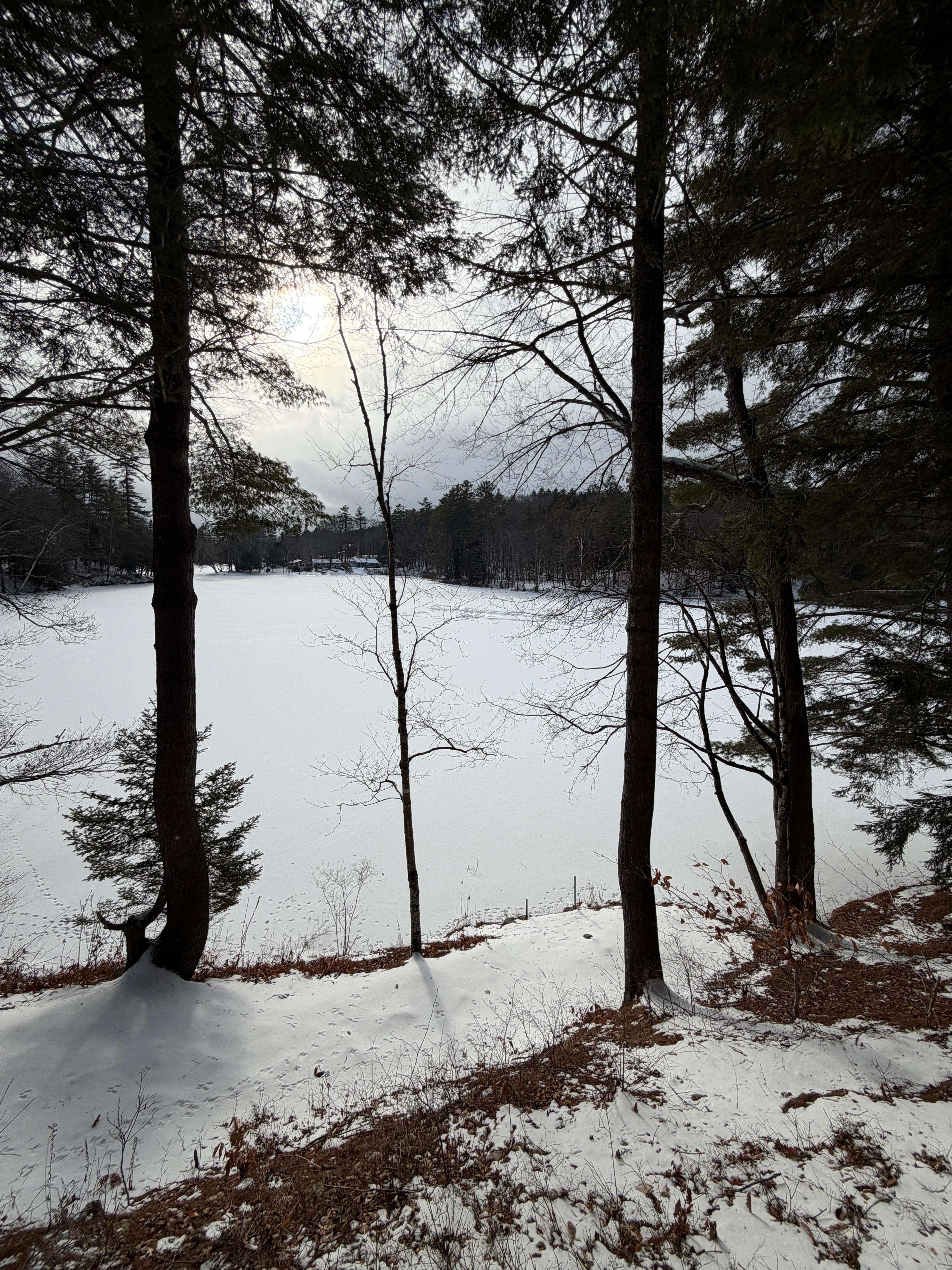 view from the deck, Jan 3, 2026
