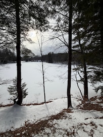view from the deck, Jan 3, 2026