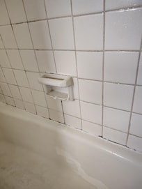 Mold everywhere