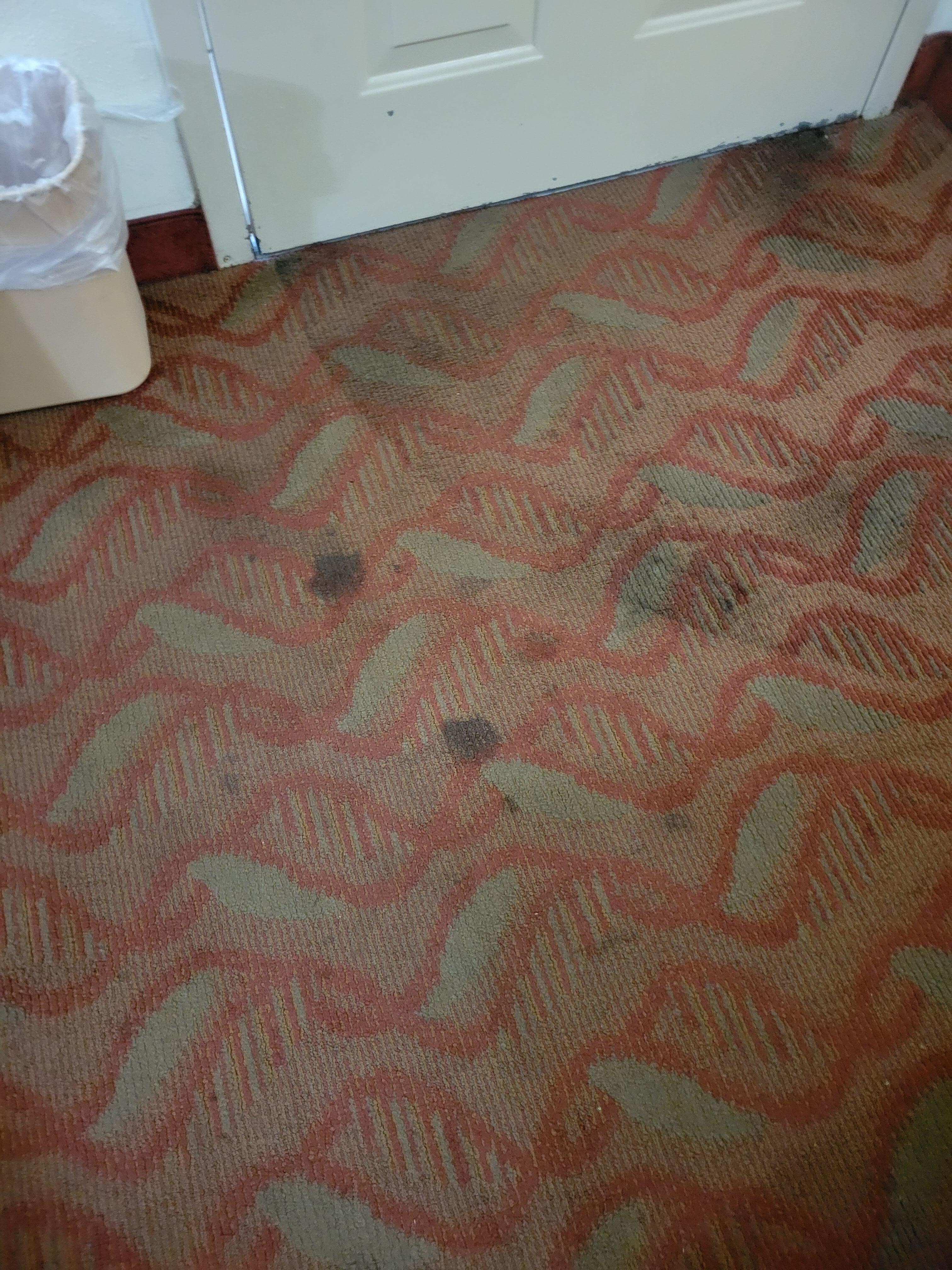 nasty carpet, stinks