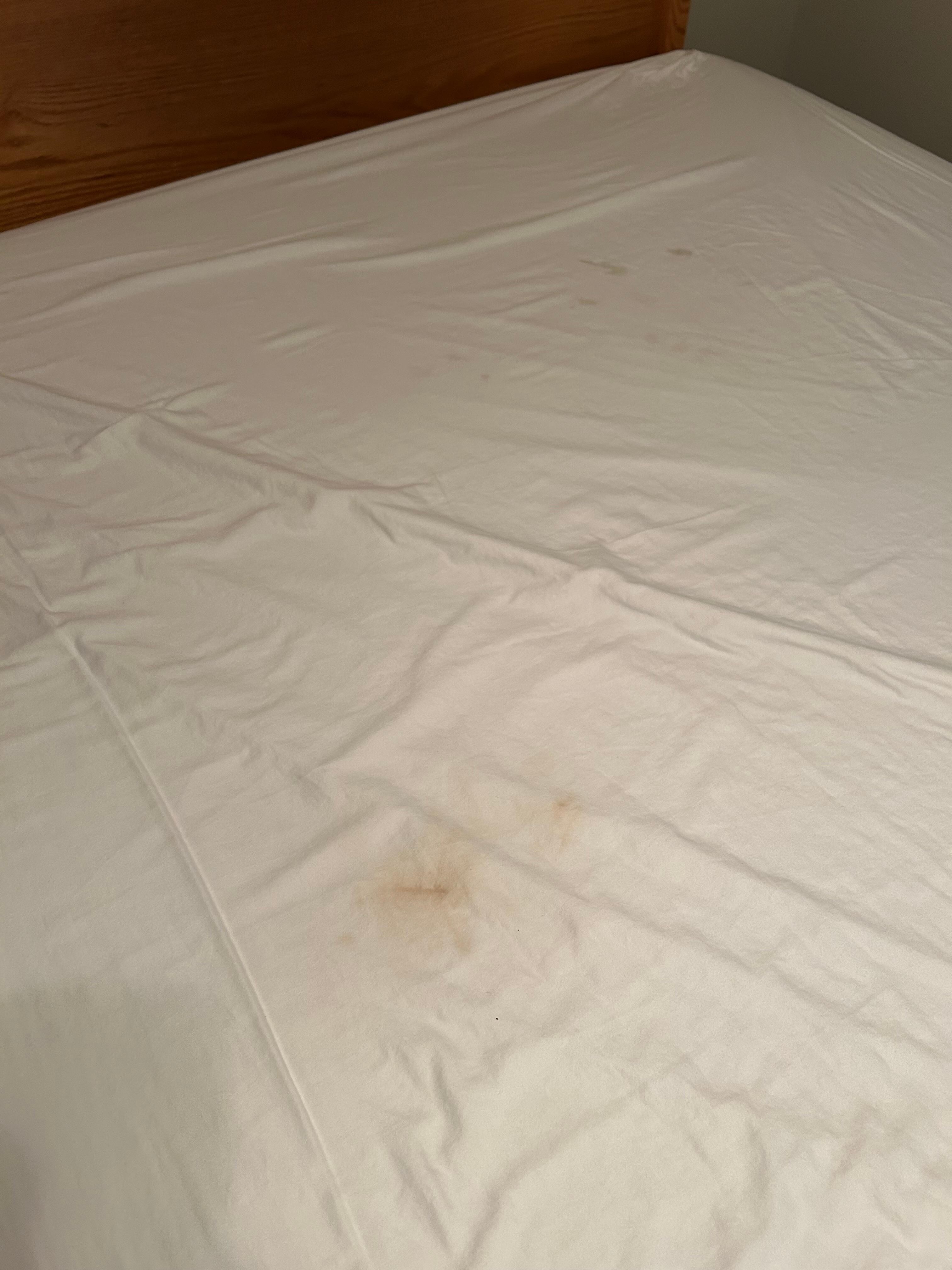 Stained bed sheets  in all bedrooms 