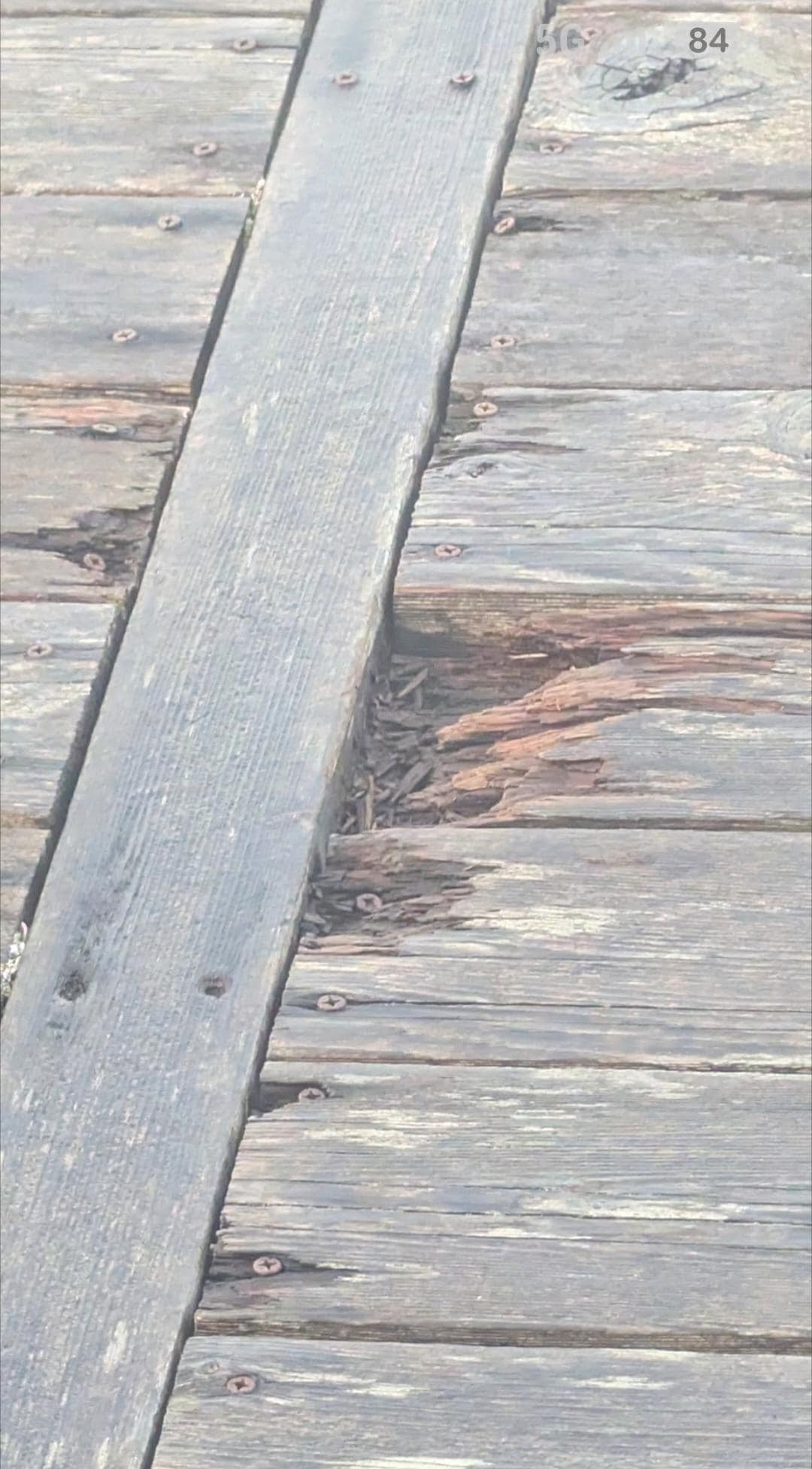 Rot on back deck, ocean view side.