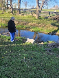 Nice creek for Bo to explore