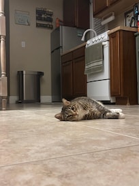 She also found the rest of the cottage relaxing!