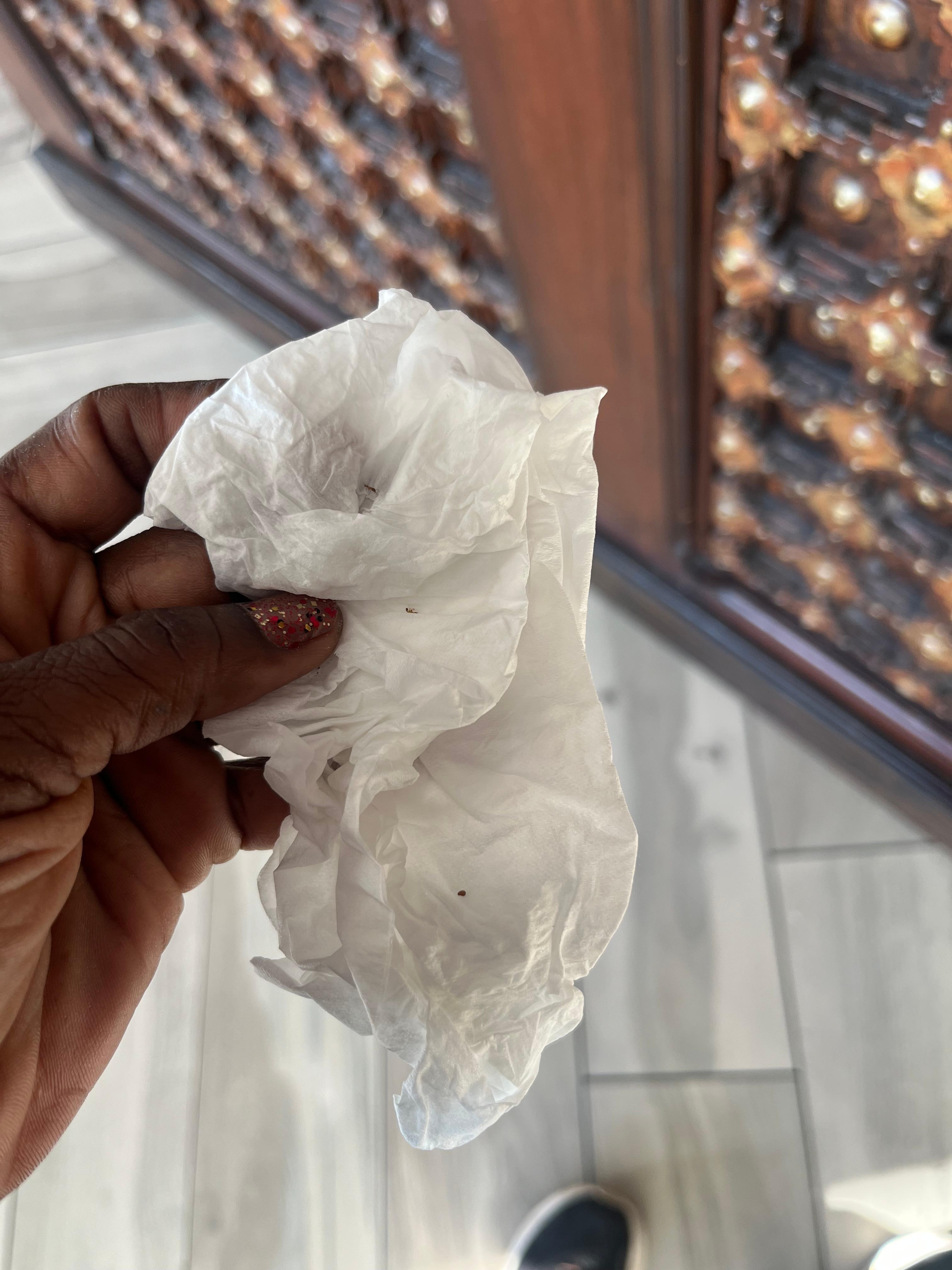 They are the tiny ants. 