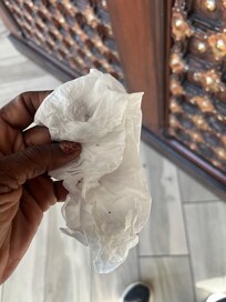 They are the tiny ants.