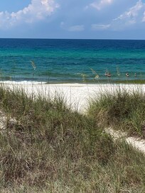 Right on the beach.