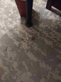 Some kind of red stain on the rug